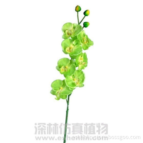artificial phalaenopsis